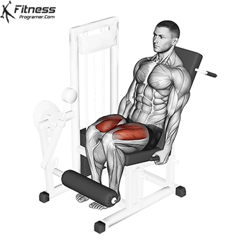 Leg extension