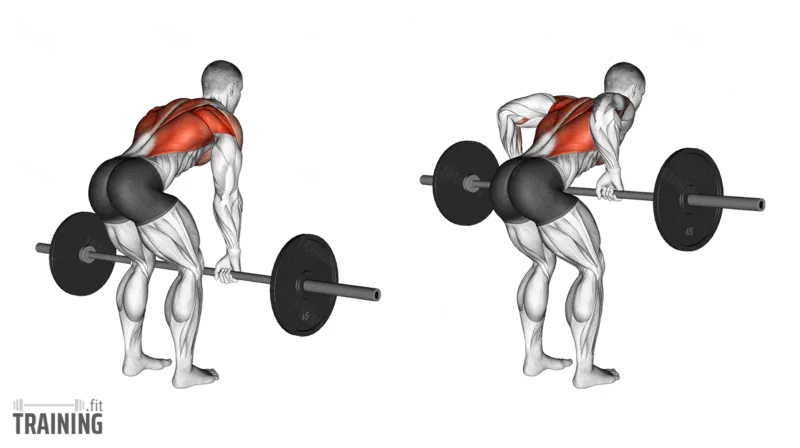 Barbell row example 1
